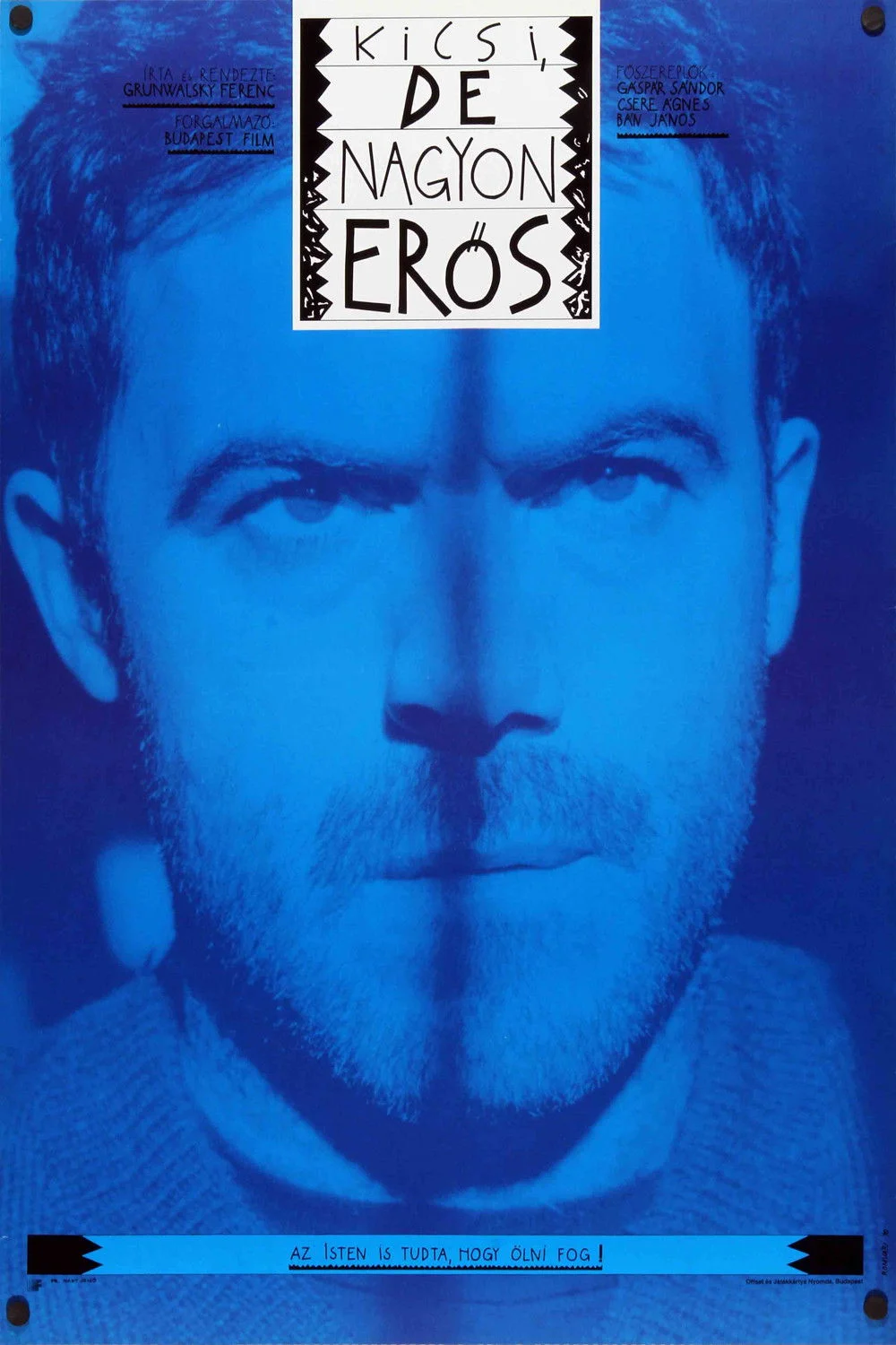 کوچک اما سرسخت