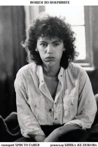 On the Roofs at Night