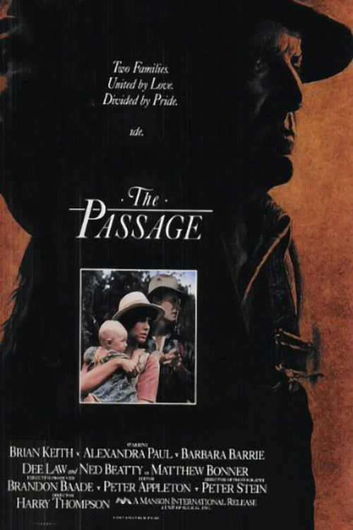 بعد از باران