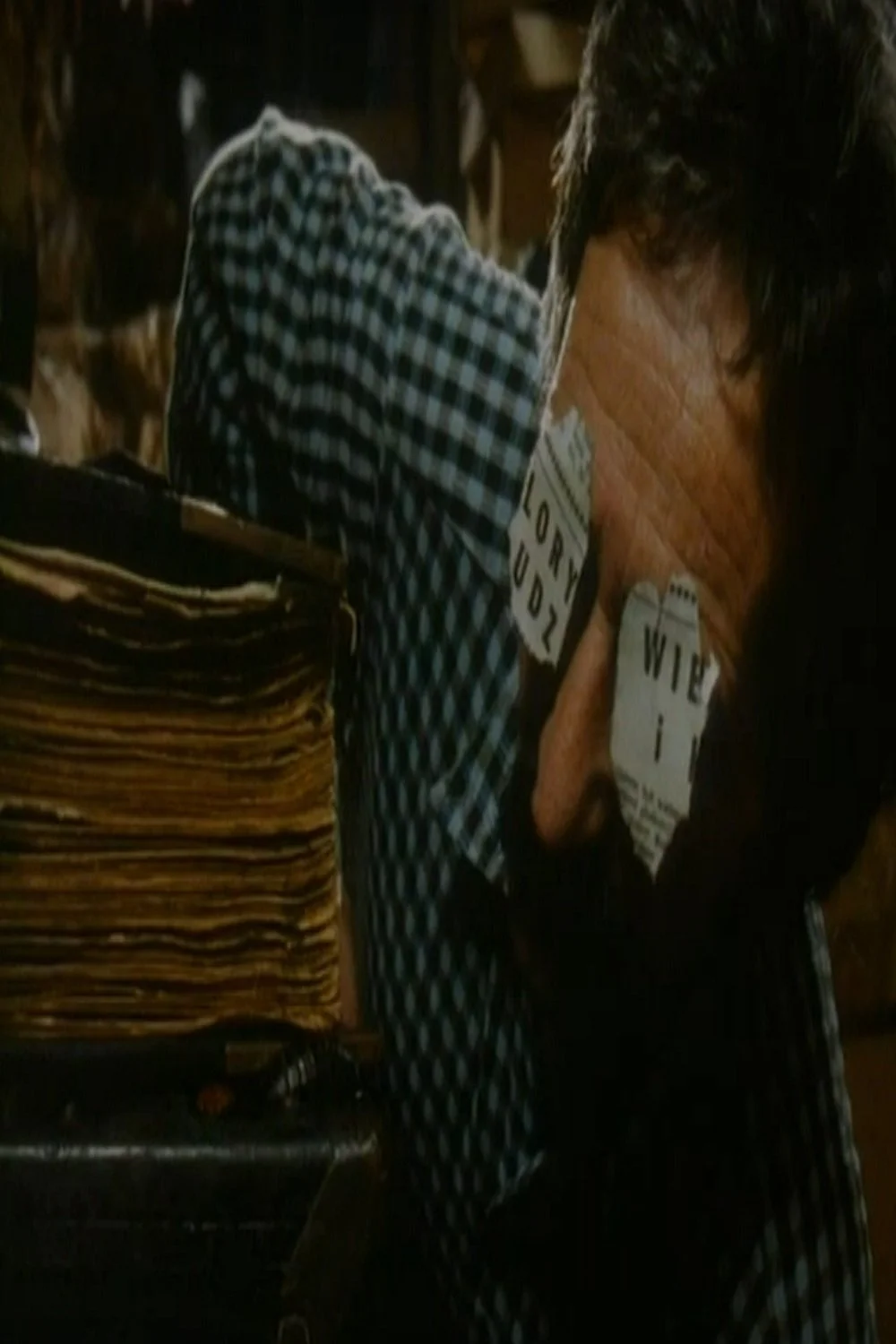 پیشگفتار ها: برونو شولس