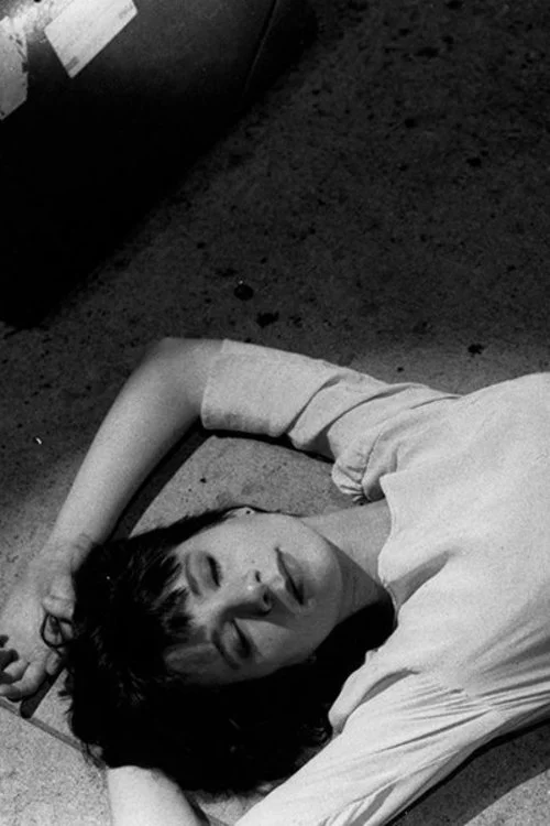 سرزمین رویاهای آمریکا