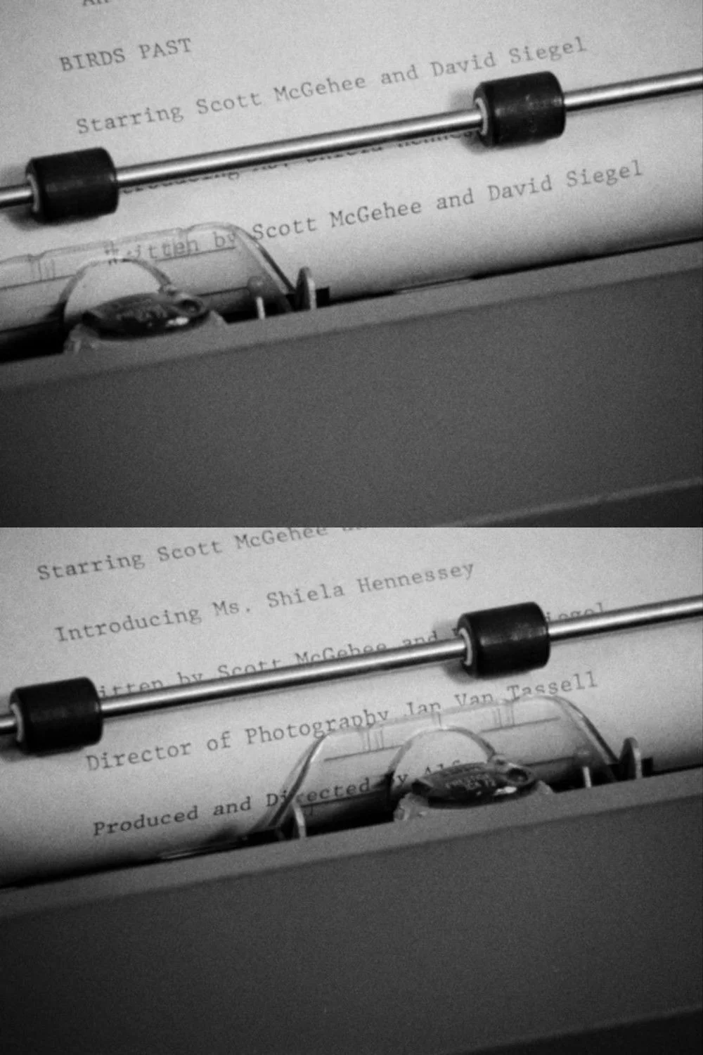 پرندگان گذشته