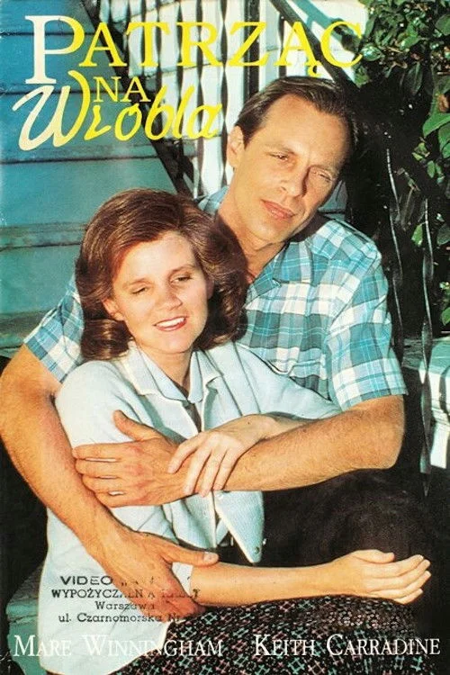 نگاه به گنجشک