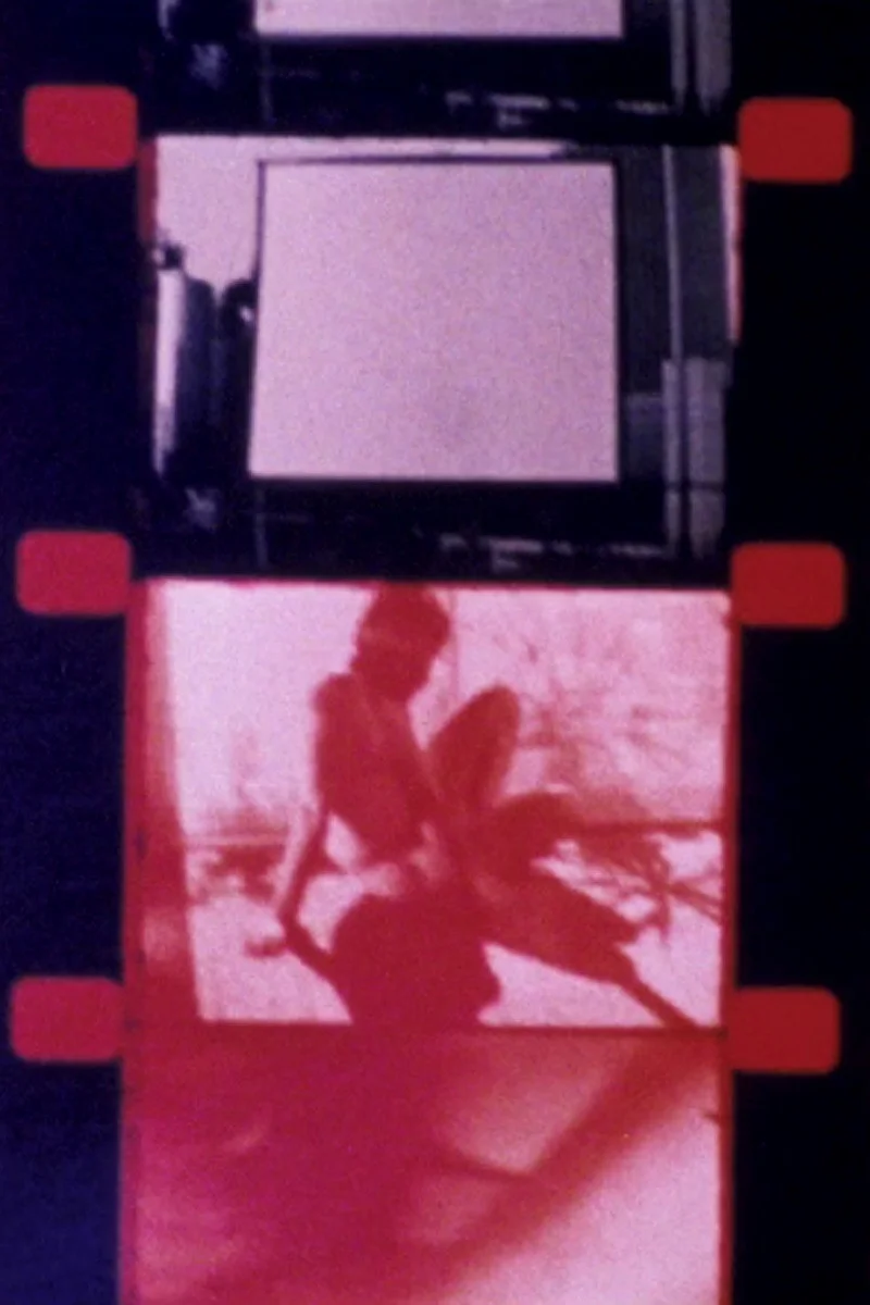 نیویورک سیتی