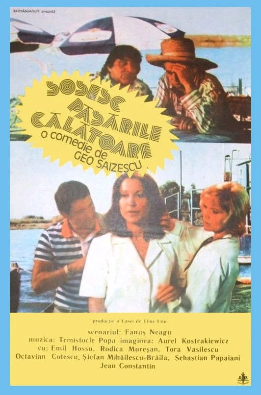 پرندگان مهاجر می‌آیند