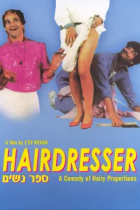 The Hairdresser