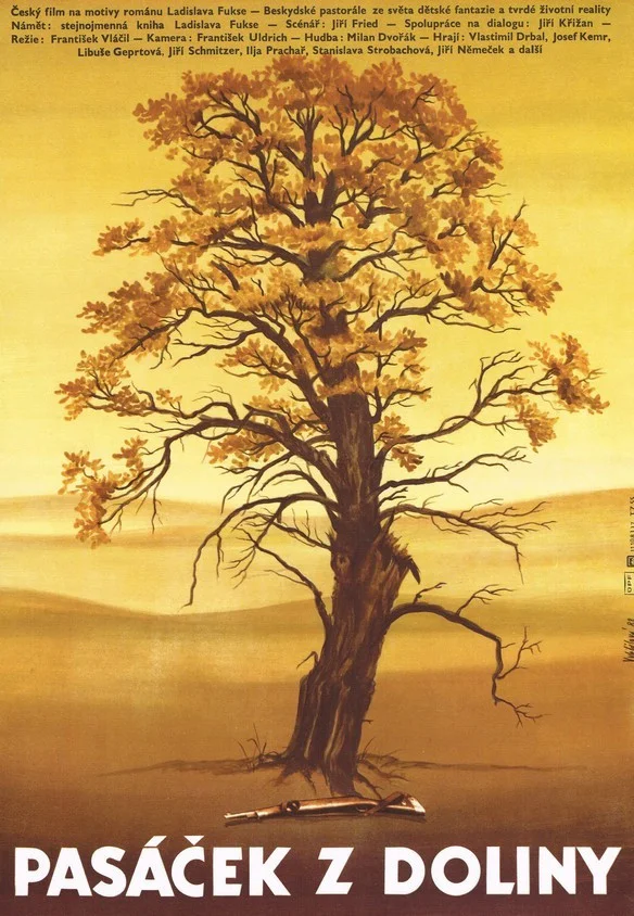 پسربچه گوسفندچران از وَادیه