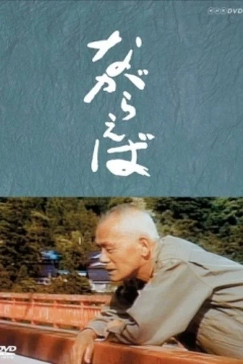 وقتی پیر می شویم