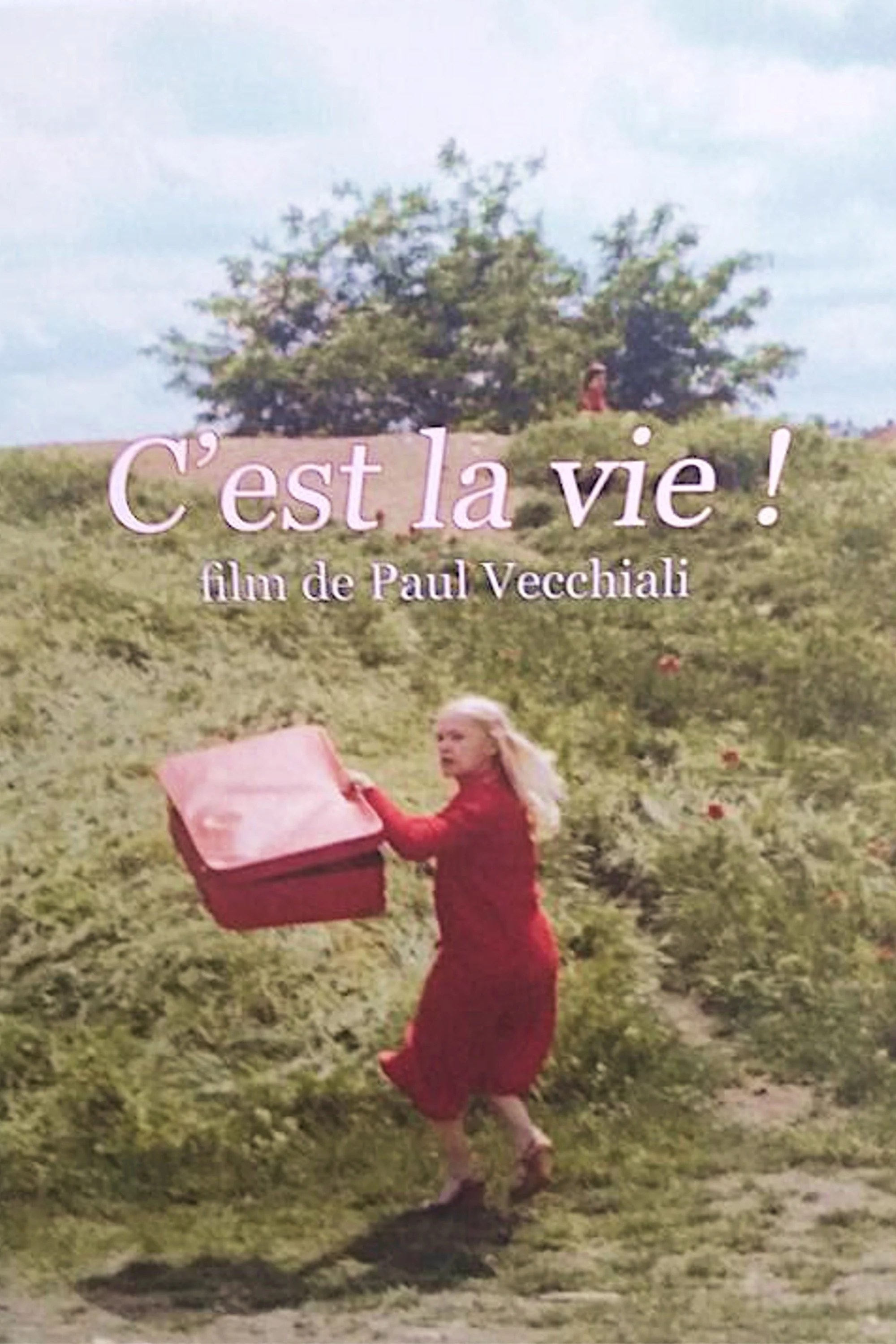 این چنین است زندگی!