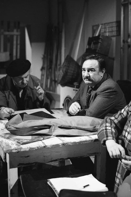 کنس یا کیسه‌ها