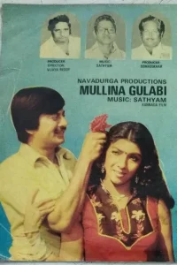 Mullina Gulabi