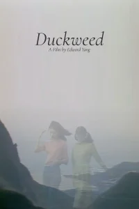 Duckweed