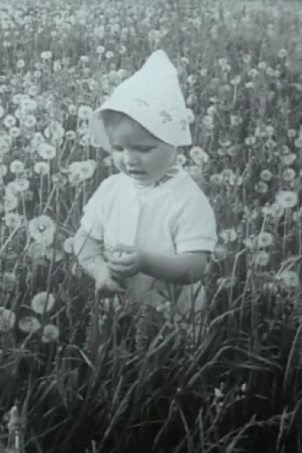 از راه آکنده از زنده گی در برگ گشوده