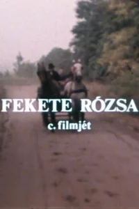 Fekete rózsa