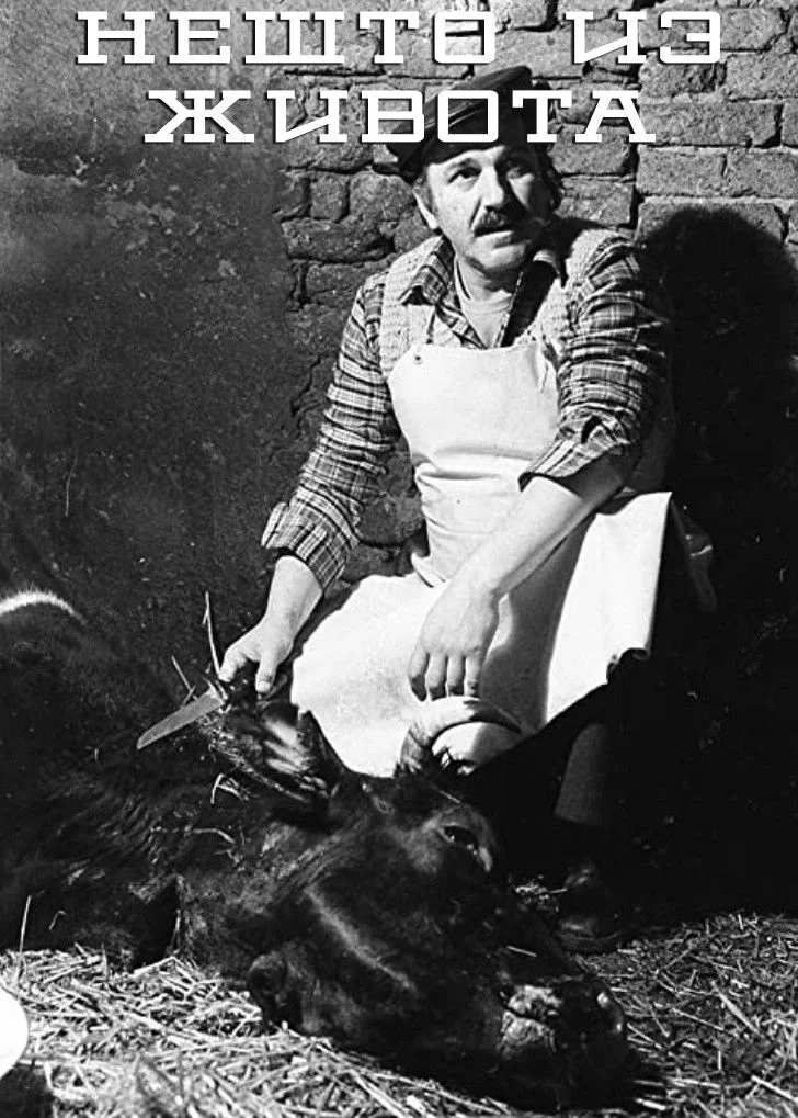 صحنه هایی از زندگی