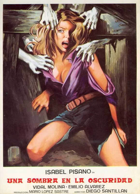 سایه ای در تاریکی