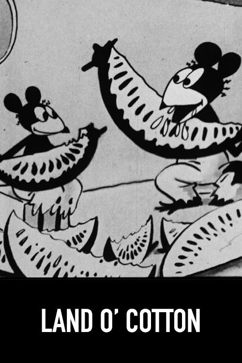 سرزمین پنبه