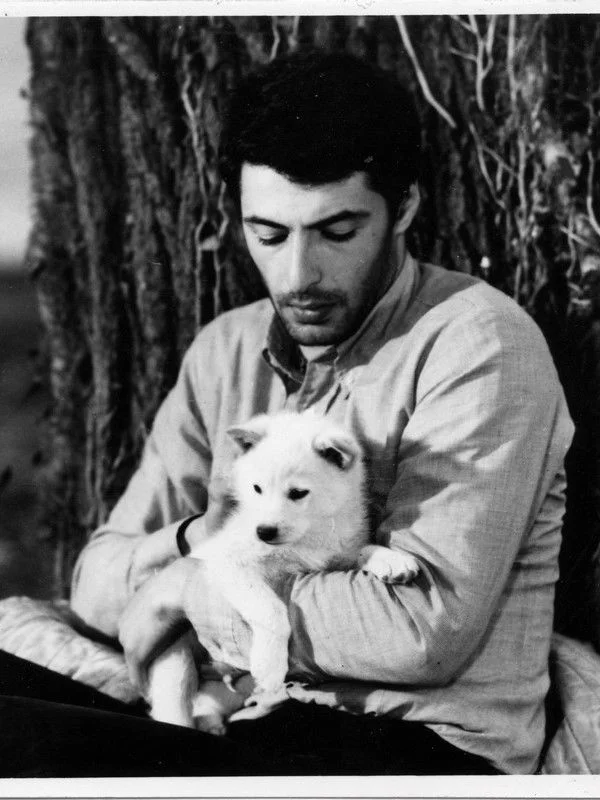 جزیره سبز امید