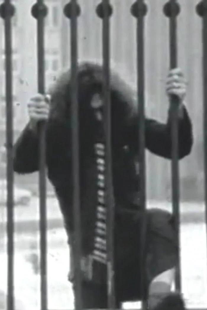 آن واژهٔ شیرین…