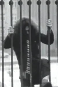 آن واژهٔ شیرین…