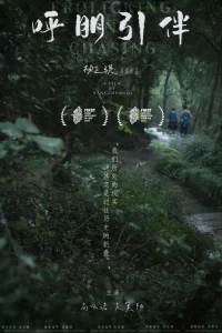 بازی و تعقیب