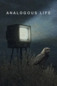 زندگی مشابه