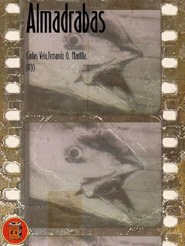 آلمادرا باس