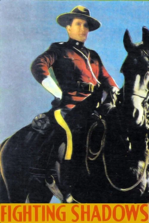 مبارزه با سایه‌ها