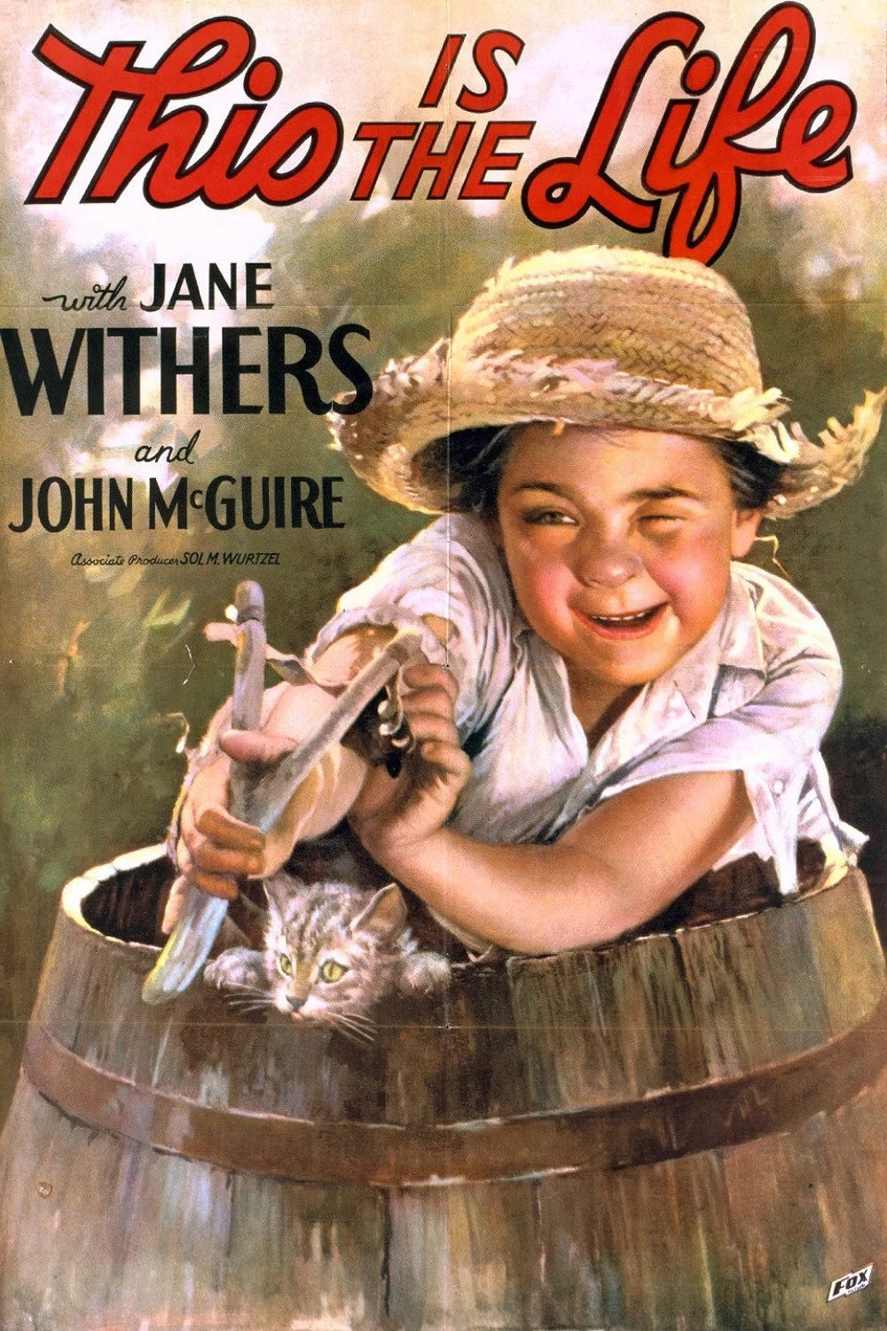 این زندگی است