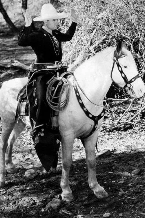 انتقام مرزی