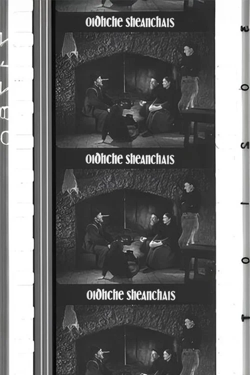 شبی از داستان‌گویی