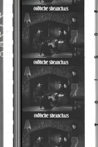 A Night of Storytelling