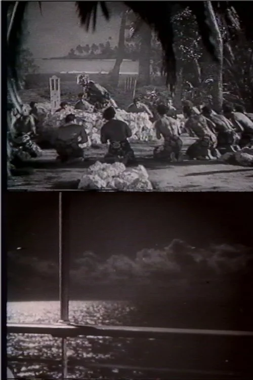 نظر شما چیست؟ توپاکاپو