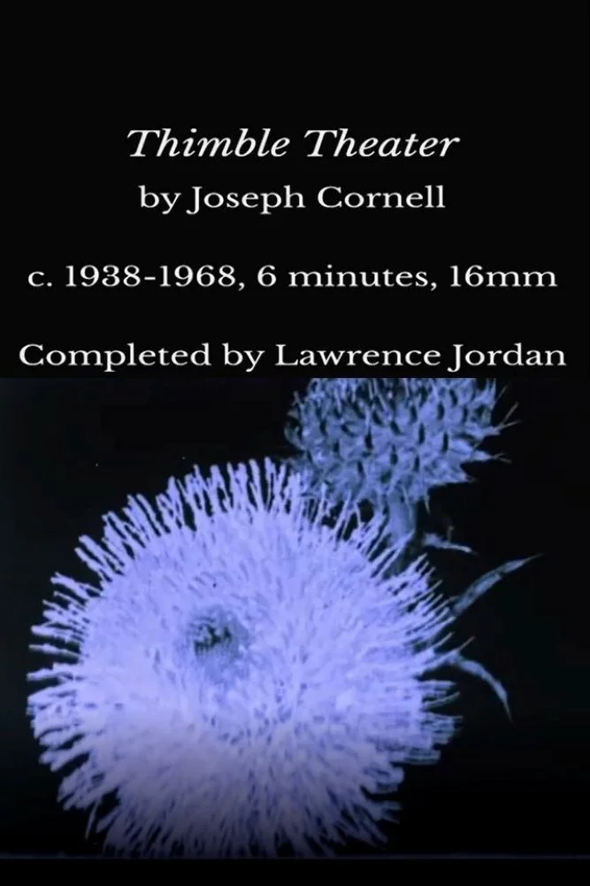 تئاتر انگشتی